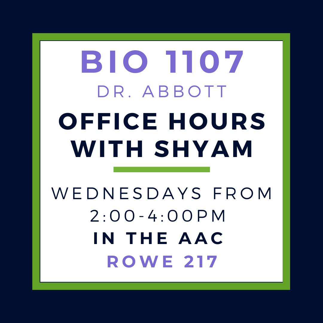sPRING OFFICE HOURS