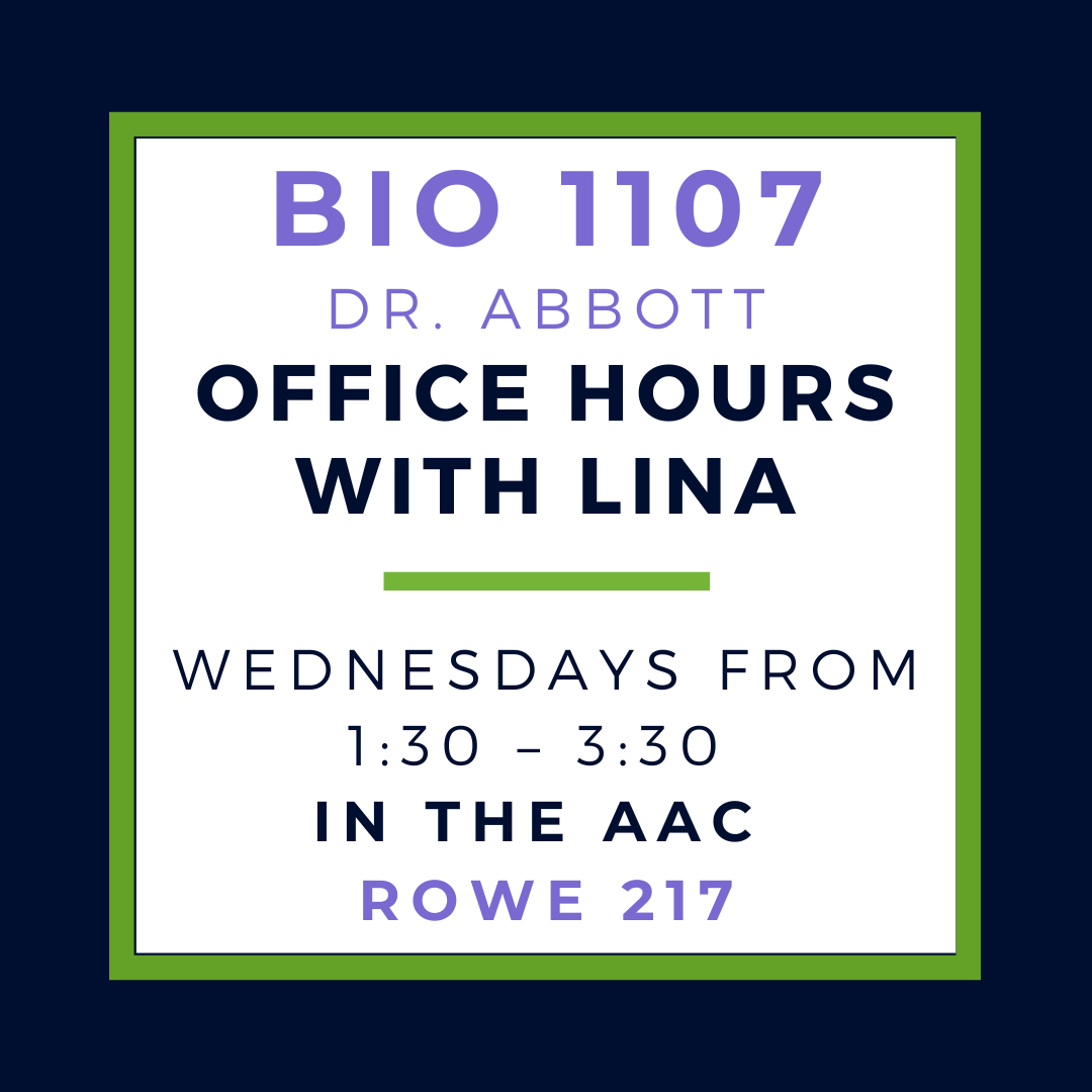 Spring 2023 Office Hours (12)